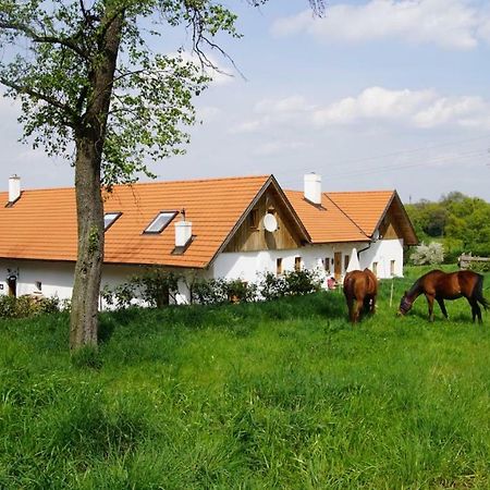 Wundervoll Eben - Chalets & Plaetze Voller Wunder - Notschkerl & Feinis Waasen Eksteriør billede