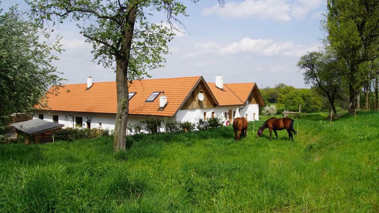 Wundervoll Eben - Chalets & Plaetze Voller Wunder - Notschkerl & Feinis Waasen Eksteriør billede